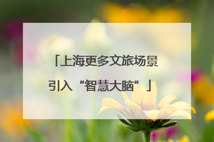 上海更多文旅场景引入“智慧大脑”
