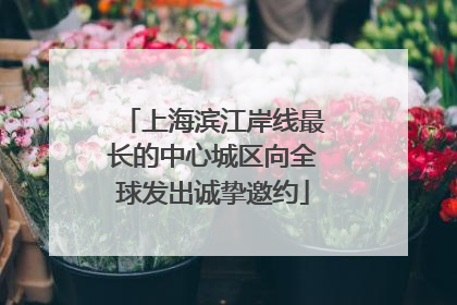 上海滨江岸线最长的中心城区向全球发出诚挚邀约