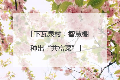 下瓦泉村：智慧棚种出“共富菜”