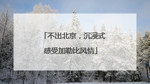 不出北京，沉浸式感受加勒比风情