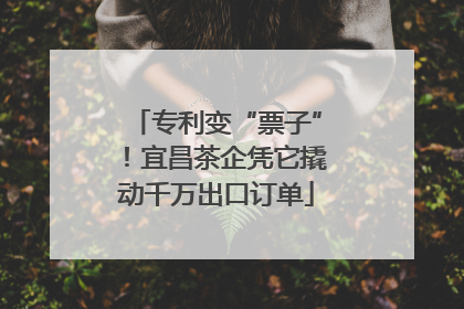 专利变“票子”！宜昌茶企凭它撬动千万出口订单