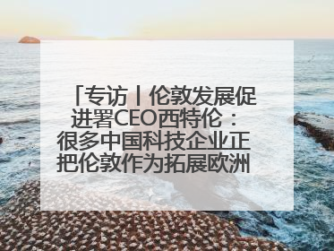 专访丨伦敦发展促进署CEO西特伦：很多中国科技企业正把伦敦作为拓展欧洲市场的门户
