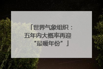世界气象组织：五年内大概率再迎“最暖年份”