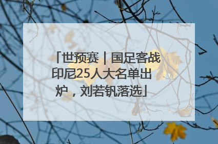 世预赛｜国足客战印尼25人大名单出炉，刘若钒落选