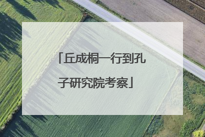 丘成桐一行到孔子研究院考察
