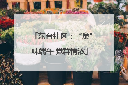 东台社区：“廉”味端午 党群情浓