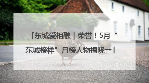 东城爱相融｜荣誉！5月“东城榜样”月榜人物揭晓→