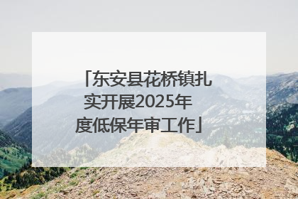东安县花桥镇扎实开展2025年度低保年审工作
