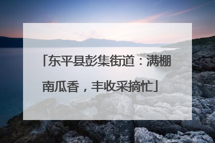 东平县彭集街道：满棚南瓜香，丰收采摘忙