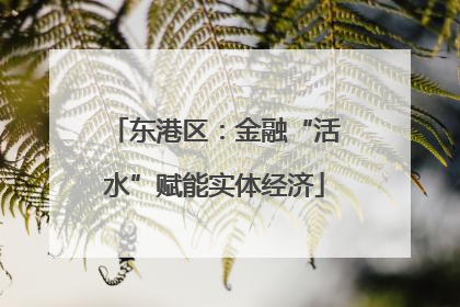 东港区：金融“活水”赋能实体经济