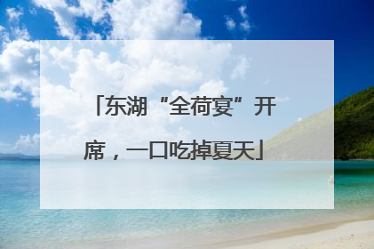 东湖“全荷宴”开席，一口吃掉夏天