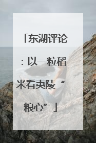 东湖评论：以一粒稻米看夷陵“粮心”