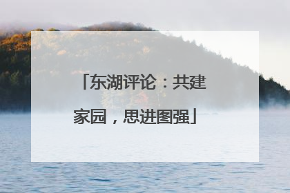 东湖评论：共建家园，思进图强