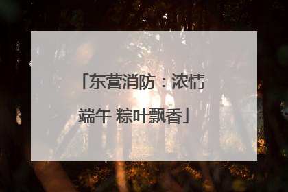 东营消防：浓情端午 粽叶飘香