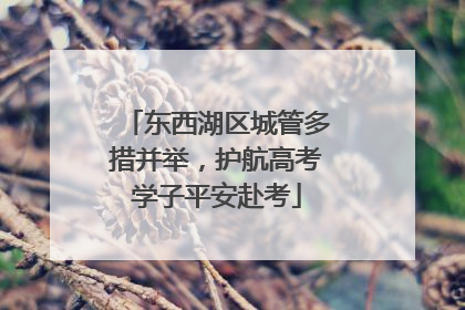 东西湖区城管多措并举，护航高考学子平安赴考