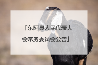 东阿县人民代表大会常务委员会公告