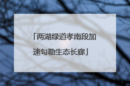两湖绿道孝南段加速勾勒生态长廊
