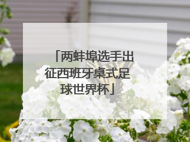 两蚌埠选手出征西班牙桌式足球世界杯