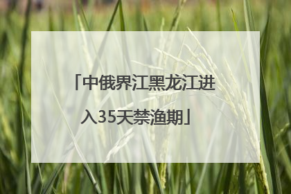 中俄界江黑龙江进入35天禁渔期