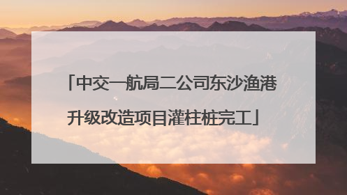 中交一航局二公司东沙渔港升级改造项目灌柱桩完工
