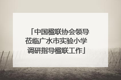 中国楹联协会领导莅临广水市实验小学调研指导楹联工作