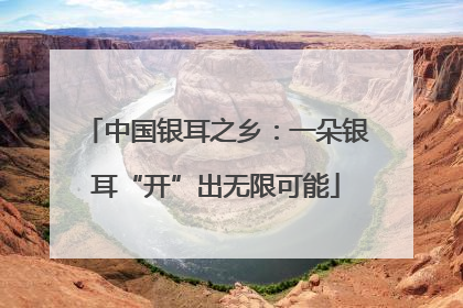 中国银耳之乡：一朵银耳“开”出无限可能