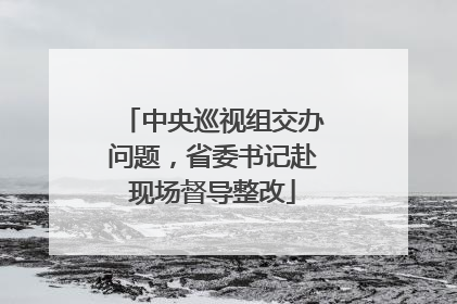 中央巡视组交办问题，省委书记赴现场督导整改
