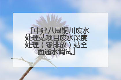 中建八局铜川废水处理站项目废水深度处理（零排放）站全面通水调试