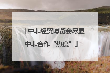 中非经贸博览会尽显中非合作“热度”