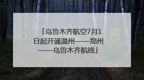 乌鲁木齐航空7月1日起开通温州——郑州——乌鲁木齐航线