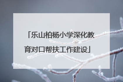乐山柏杨小学深化教育对口帮扶工作建设