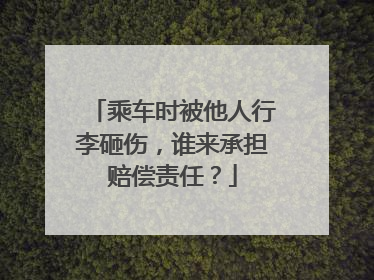 乘车时被他人行李砸伤，谁来承担赔偿责任？