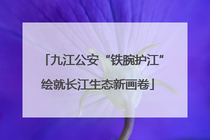 九江公安“铁腕护江”绘就长江生态新画卷