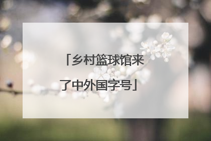 乡村篮球馆来了中外国字号