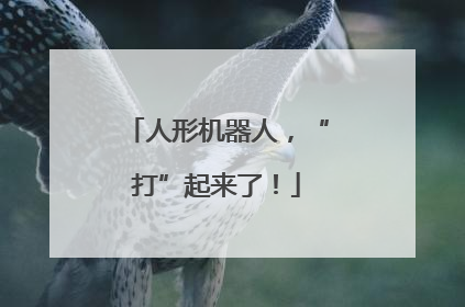 人形机器人，“打”起来了！