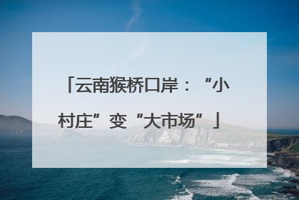 云南猴桥口岸：“小村庄”变“大市场”