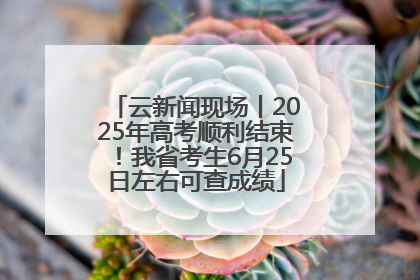 云新闻现场丨2025年高考顺利结束！我省考生6月25日左右可查成绩