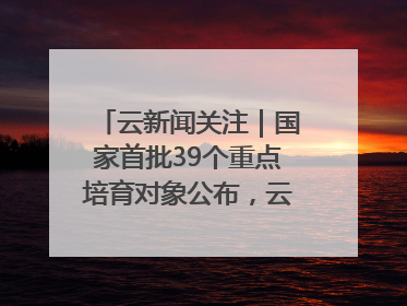 云新闻关注｜国家首批39个重点培育对象公布，云南有3个