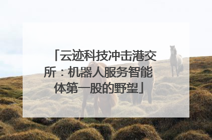 云迹科技冲击港交所：机器人服务智能体第一股的野望