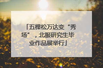五棵松万达变“秀场”，北服研究生毕业作品展举行