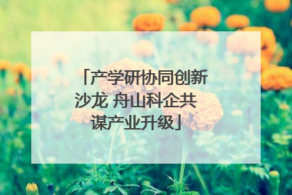 产学研协同创新沙龙 舟山科企共谋产业升级