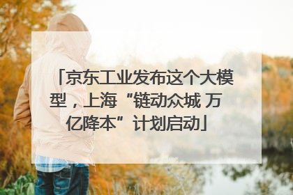 京东工业发布这个大模型，上海“链动众城 万亿降本”计划启动