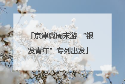 京津冀周末游 “银发青年”专列出发