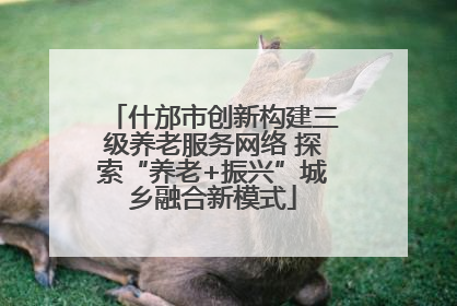 什邡市创新构建三级养老服务网络 探索“养老+振兴”城乡融合新模式