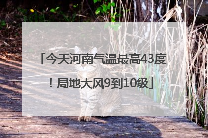 今天河南气温最高43度！局地大风9到10级