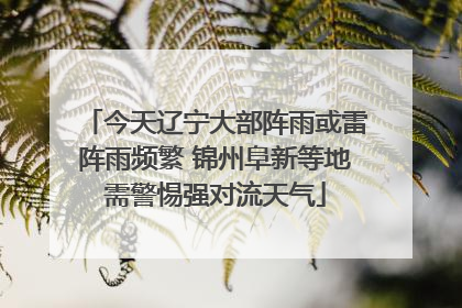 今天辽宁大部阵雨或雷阵雨频繁 锦州阜新等地需警惕强对流天气