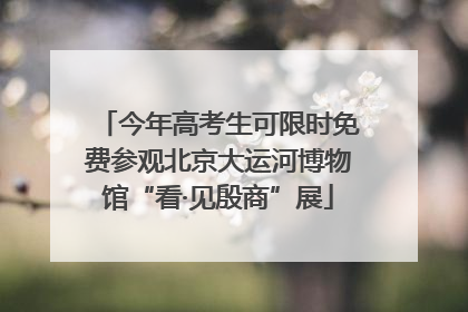 今年高考生可限时免费参观北京大运河博物馆“看·见殷商”展