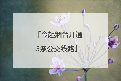 今起烟台开通5条公交线路
