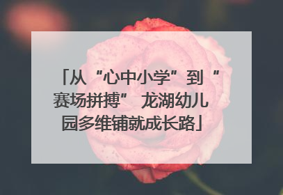 从“心中小学”到“赛场拼搏” 龙湖幼儿园多维铺就成长路