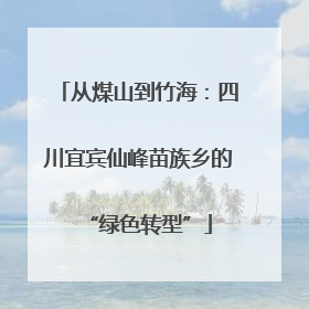 从煤山到竹海：四川宜宾仙峰苗族乡的“绿色转型”